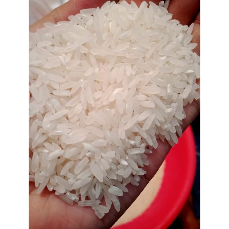 

Ay00! Beras Rojolele Super 5kg Putih Pulen Tanpa Pemutih