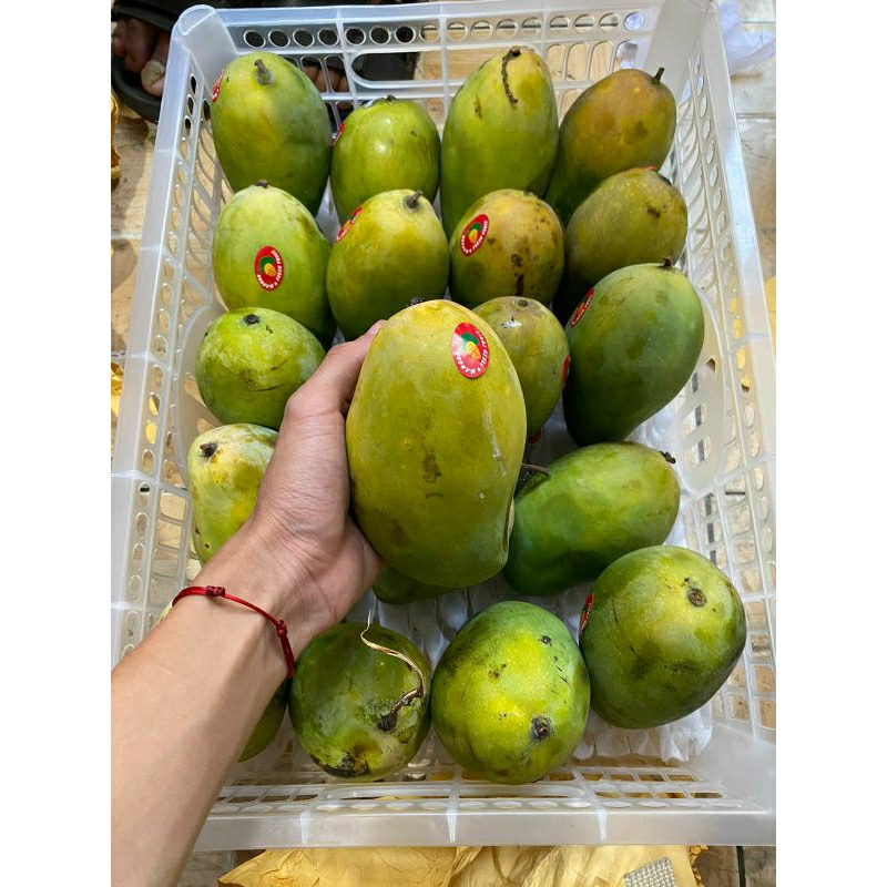 

Mangga Harum manis 1kg