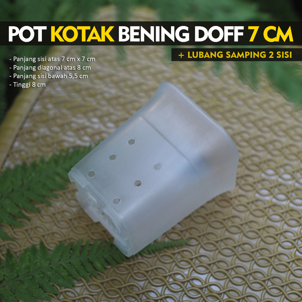 Pot Bening Kotak 7x7 cm - Pot Bening Tinggi Ada Lubang Samping