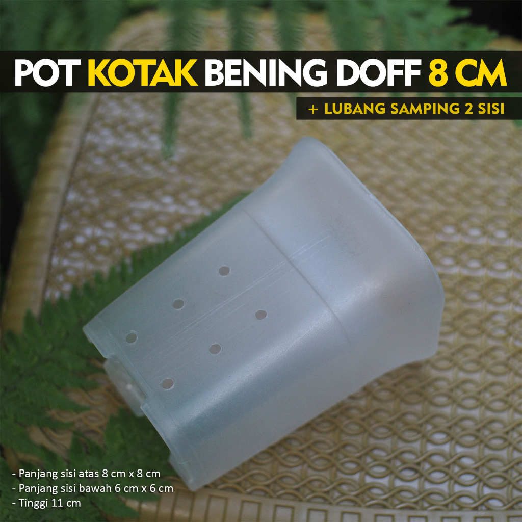 Pot Bening Kotak 8x8 cm - Pot Bening Tinggi Ada Lubang Samping