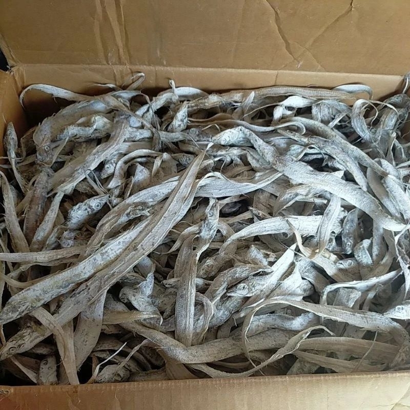 

Ikan Layur Asin 1kg Kering Harga Terjangkau