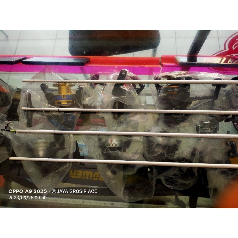 ros white koi 360 no 2 dari atas+ pvc