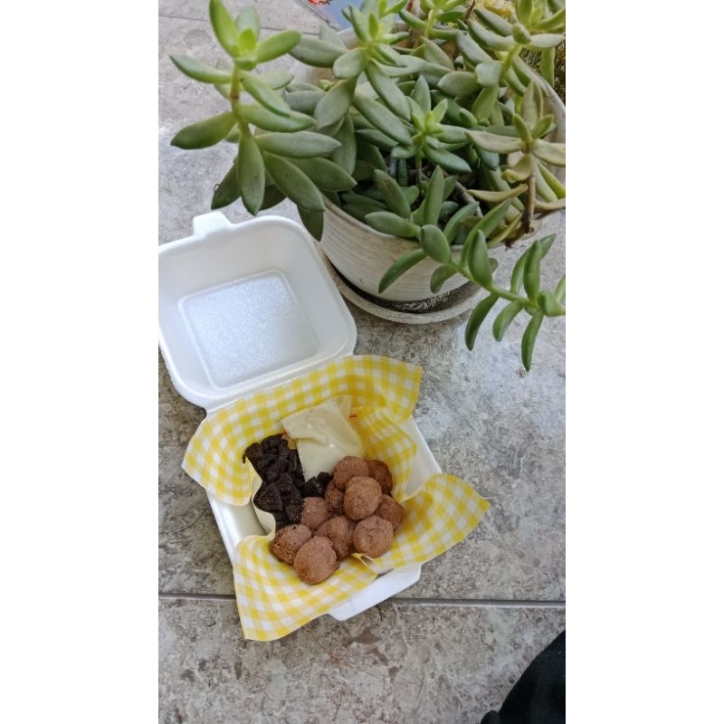 

mochibites