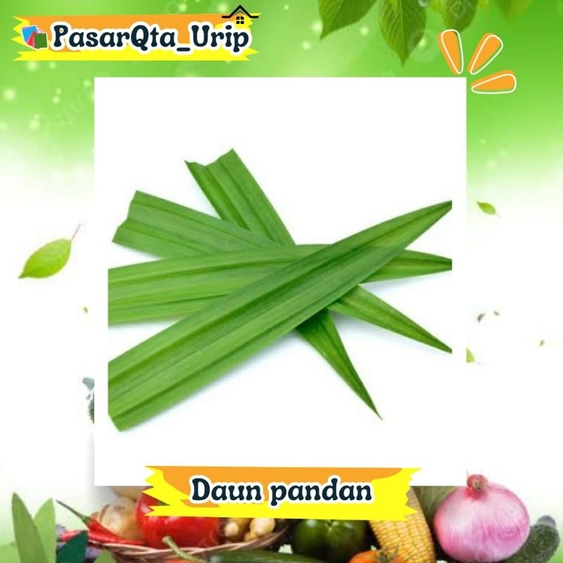 

Daun pandan perikat / Pasar online makassar