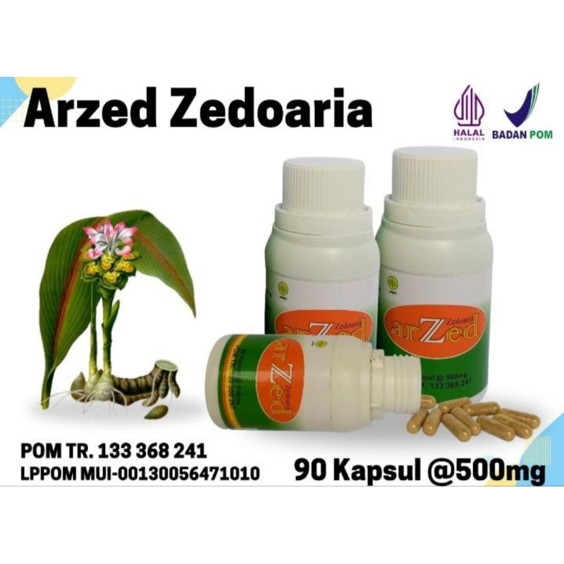 arzed / temu putih / obat herbal /obat tumor dan kanker