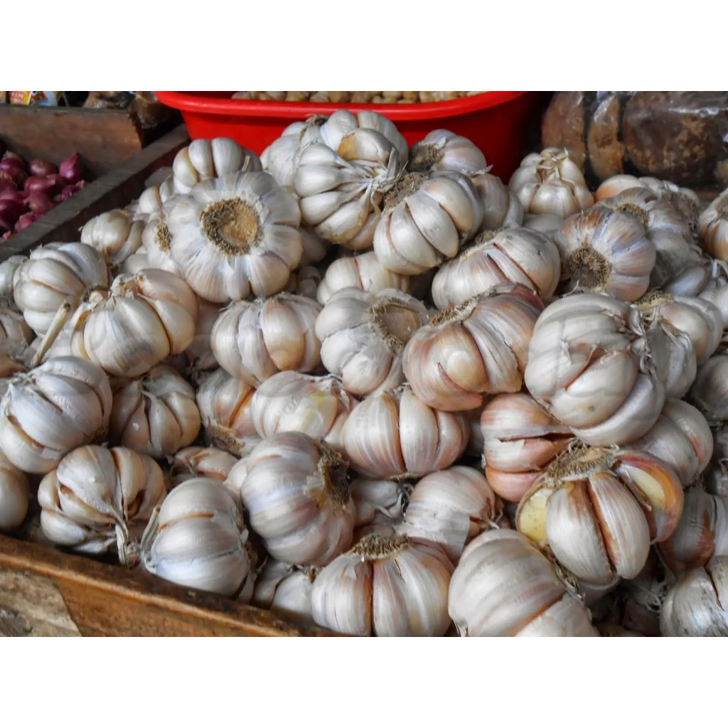 Bawang Putih 1 kg