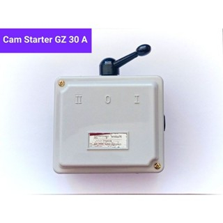 CAM STARTER/HANDLE GZ 30A PIOLINE