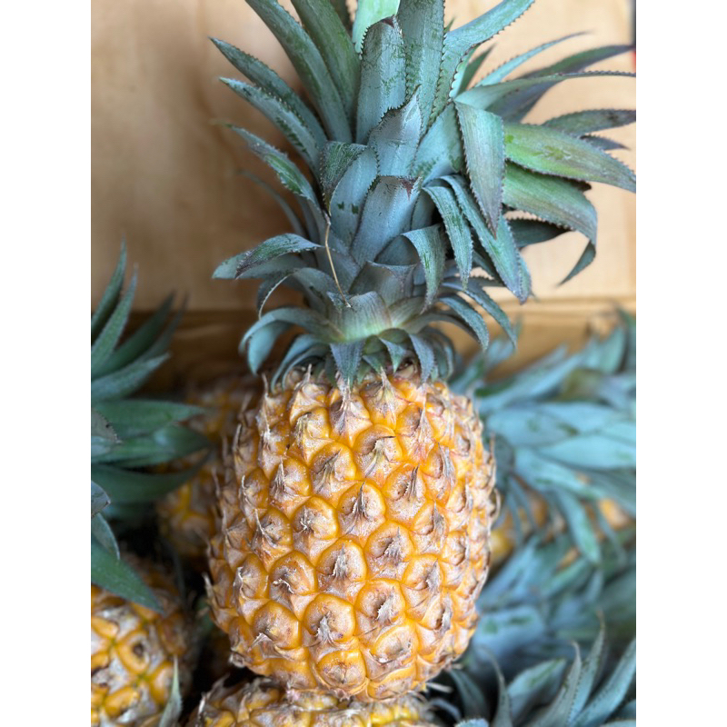 

NANAS MADU SUPER