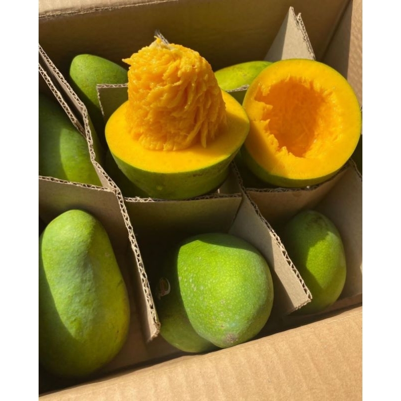 

MANGGA ALPUKAT 5KG BANGIL ASLI MANIS MATENG POHON PASURUAN MANGGA HARUMANIS