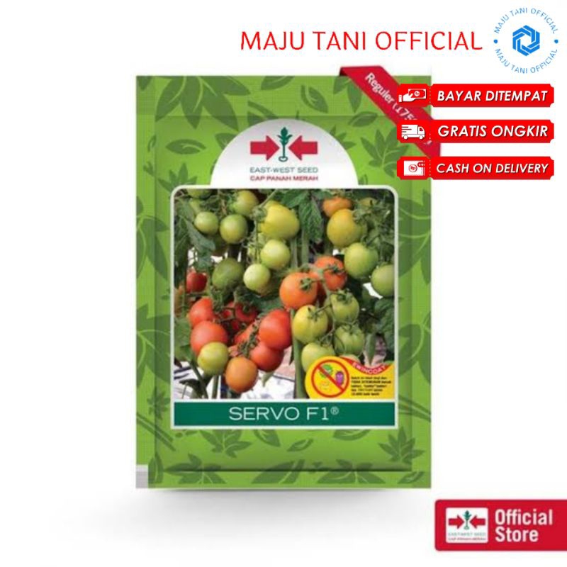 

Benih Tomat Servo F1 Isi Benih 1750 butir Expayed 2025 Terbaru Kemasan Pabrik