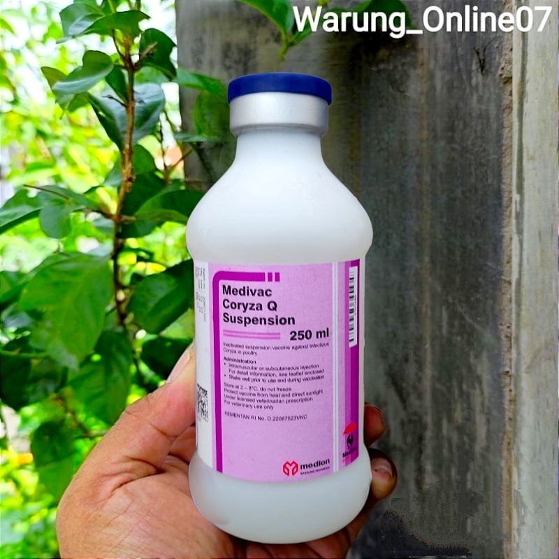 Vaksin Medivac Coryza Q Suspension Netto 250ml Dosis 500 Ekor Vaksin Ayam Mencegah Penyakit Snot Ngo