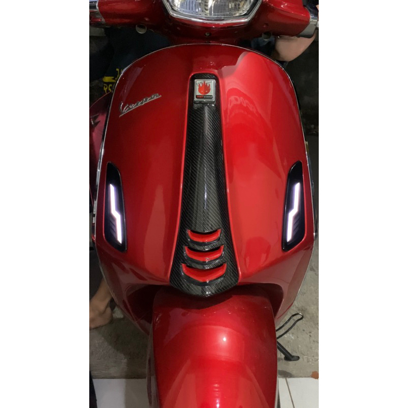 sein custom vespa sprint/primavera (model level10)