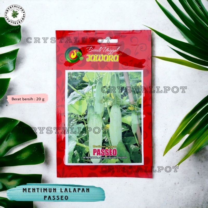 Benih Bibit Timun Lalapan PASSEO Benih Unggul Jawara - TIMUN LALAPAN PASSEO