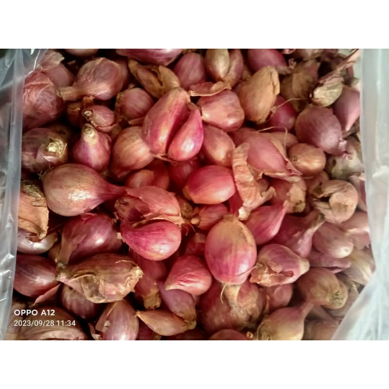 

bawang merah