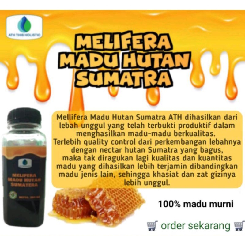 

madu/asli/murni/meliferafullnektar