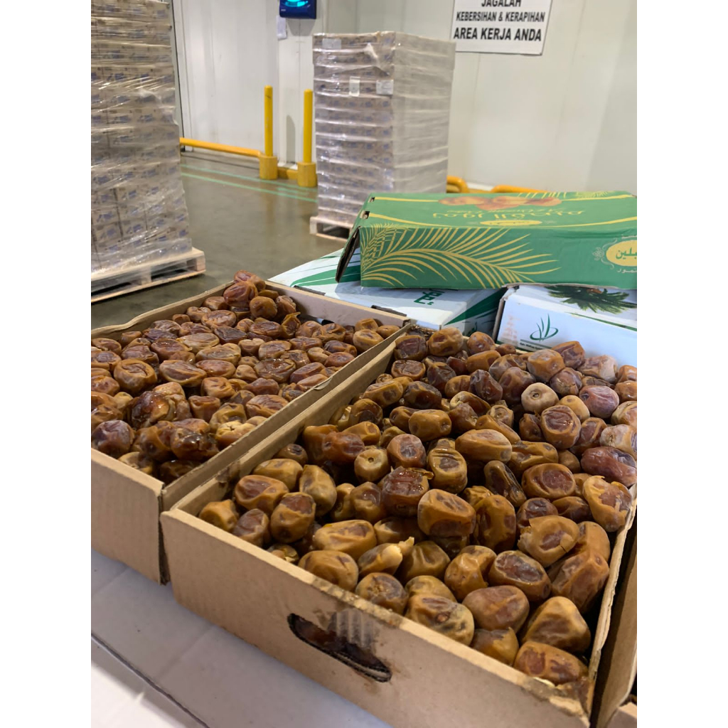 

KURMA AL QASEEIM GRADE B+