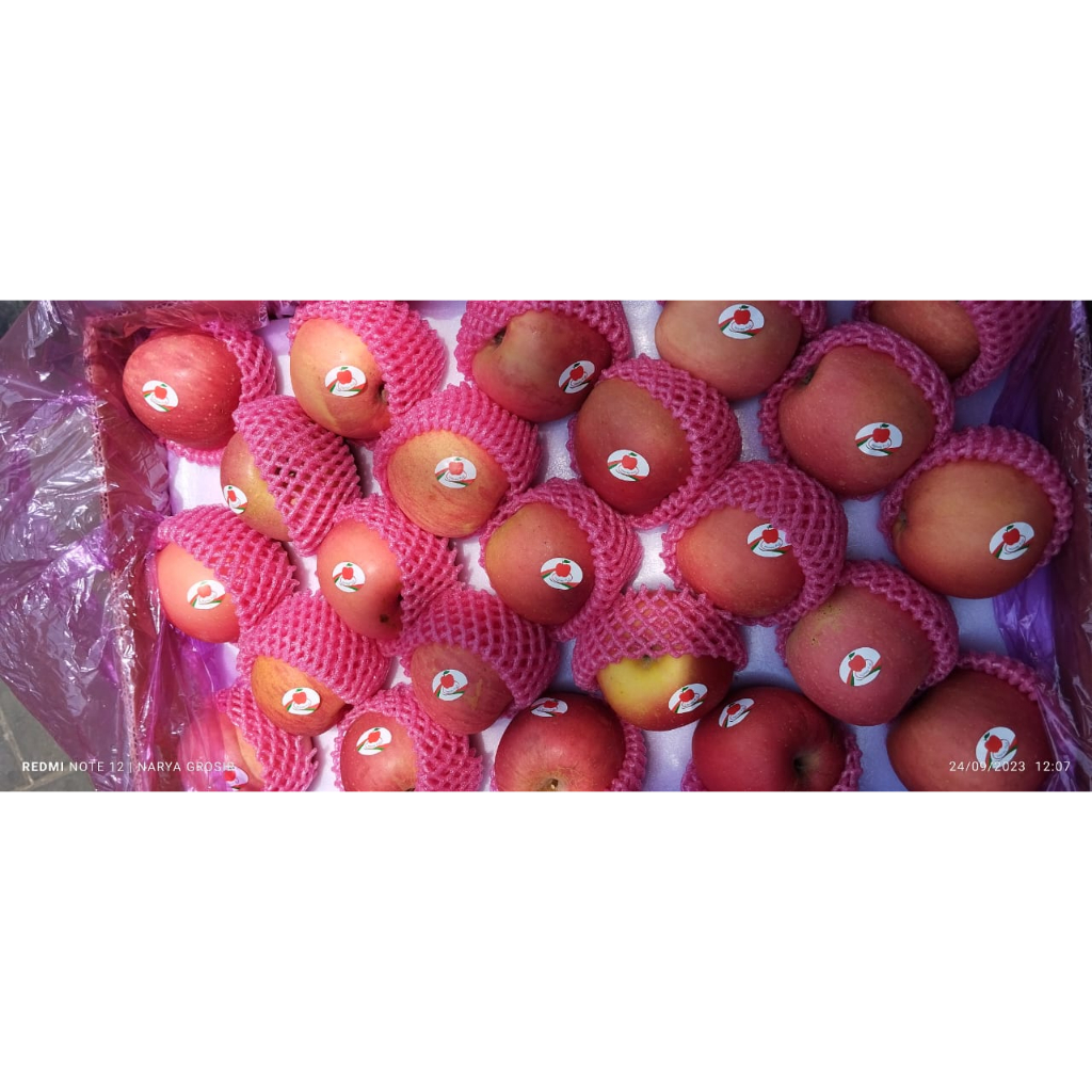 

Buah Apel Fuji Manis IMPORT (Kualitas I) 1 kg