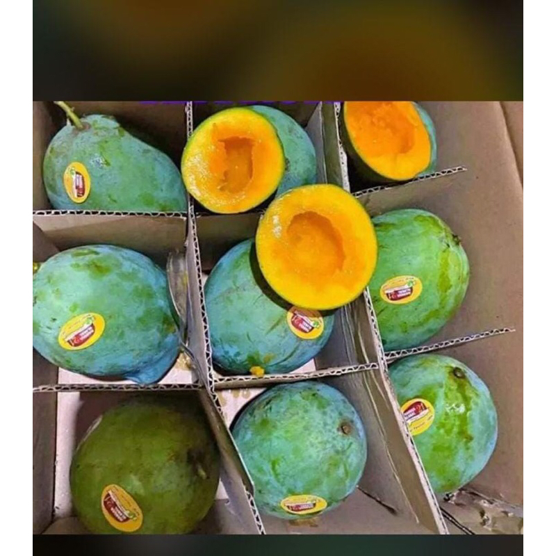 

Mango