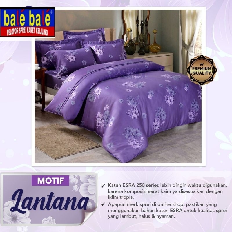 Sprei 160x200x30cm karet keliling