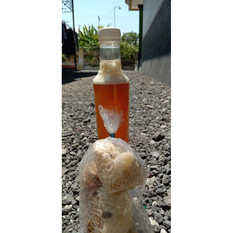 

MADU HUTAN SUMATERA