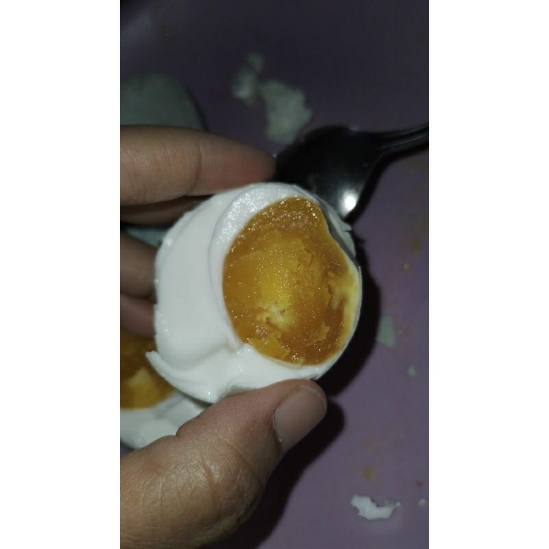 

TELUR ASIN MASIR 1 PACK ISI 10 BUTIR