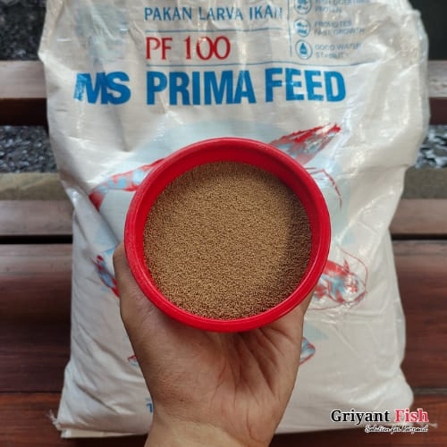 Eceran Pakan Burayak Ikan Koi Repack 1kg Pelet Ikan Hias Fish Food