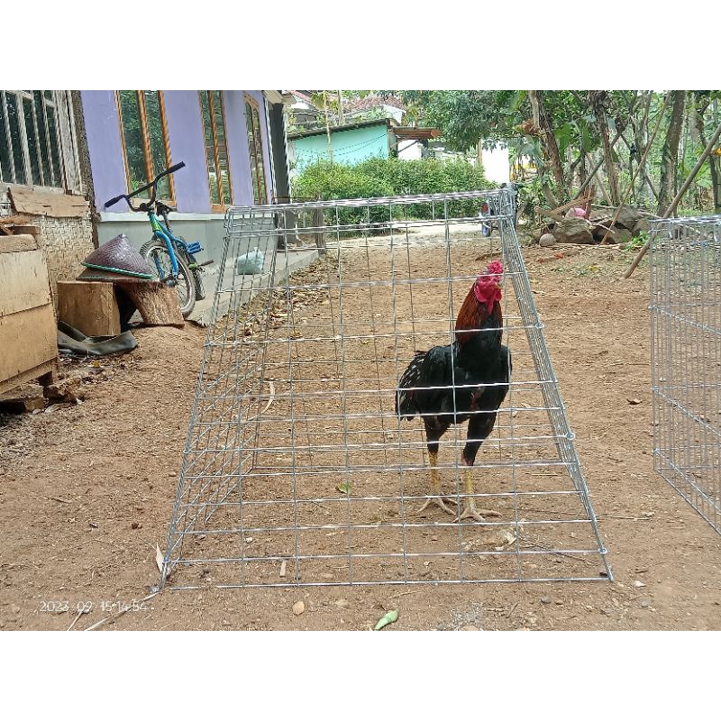 Kurungan Ayam Piramid Galvanis Lipat