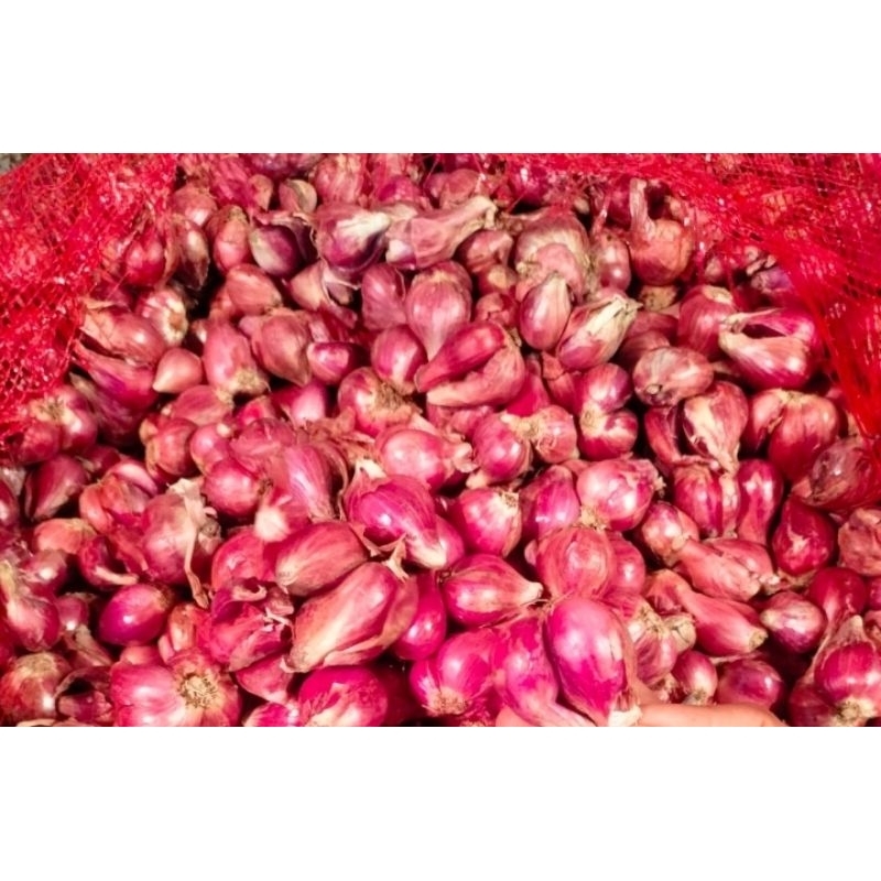 

bawang merah asli brebes 1 kg