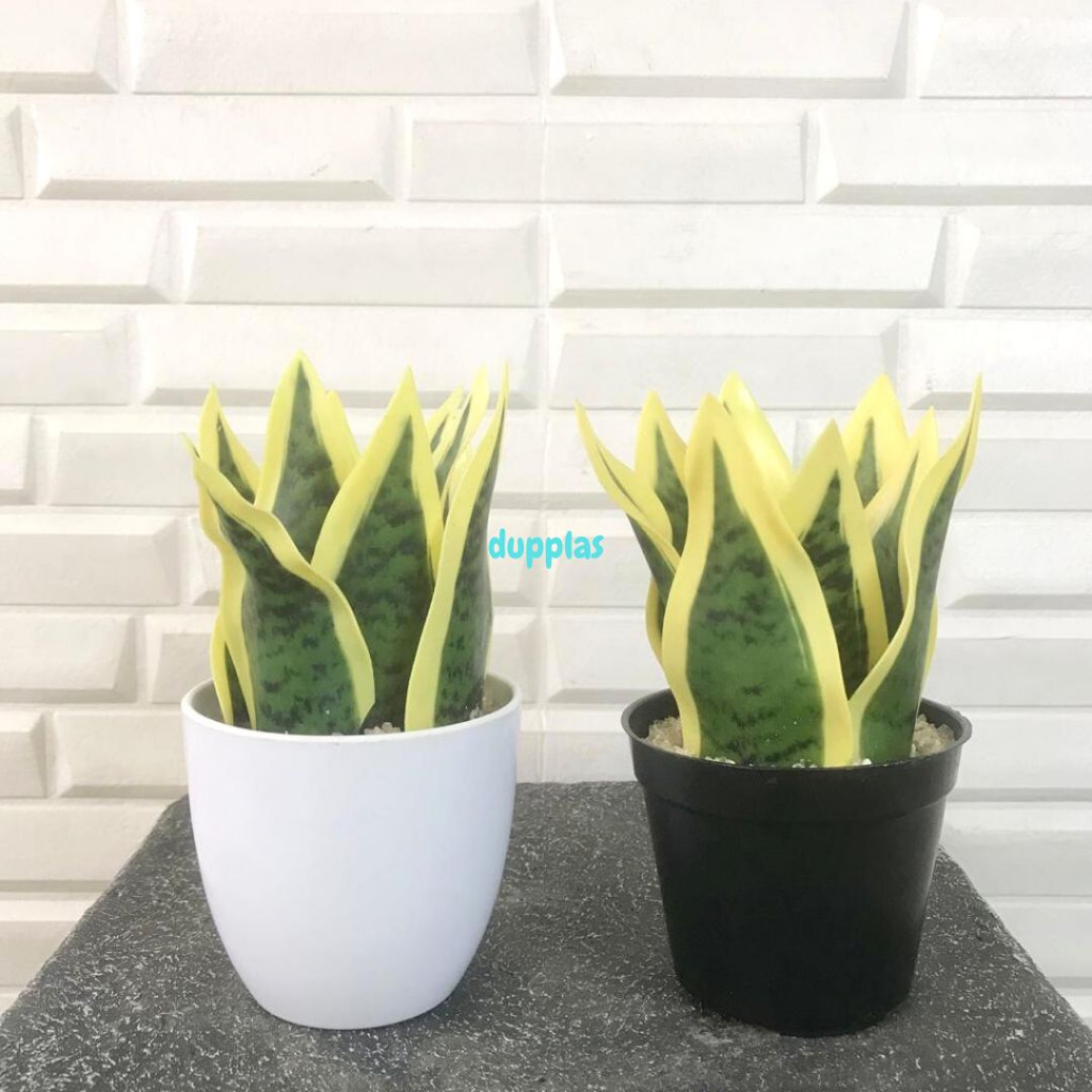 Tanaman Artificial Pohon Plastik Daun Lidah Mertua X8 Mini Latex Variasi Pot Dekorasi Pajangan Meja