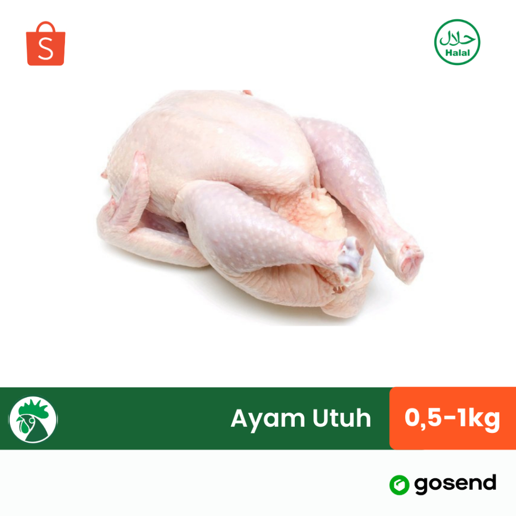 

Ayam Potong PREMIUM 1 Ekor | Karkas Utuh - Whole Chicken | Ayam Broiler Muda