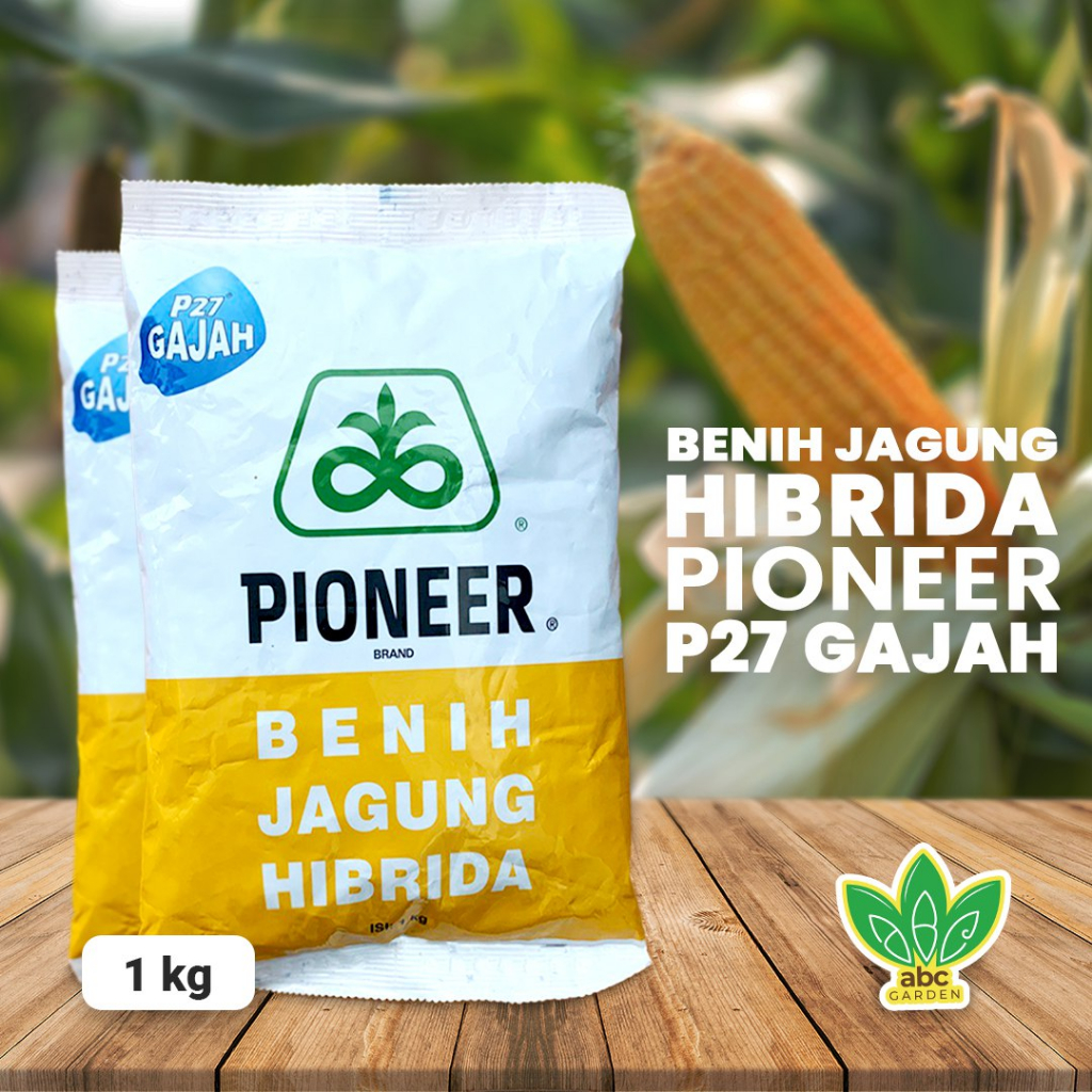 [1 Kg] Benih Jagung Hibrida Pioneer P27