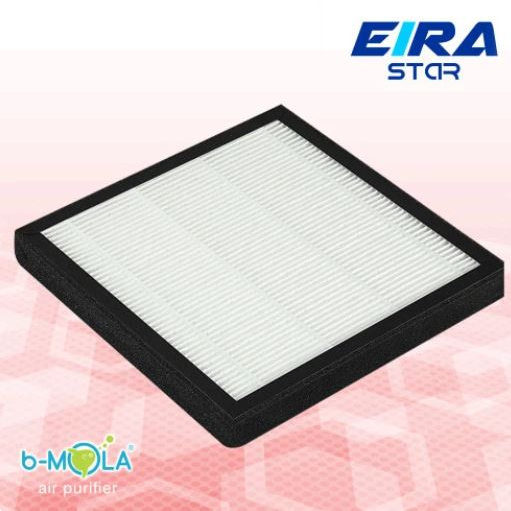 Hepa Filter BP 20