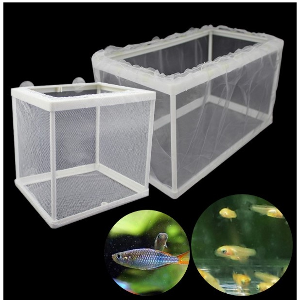 Box Karantina Ikan Net Breeder Breeding Jaring Pemisah Karantina Ikan