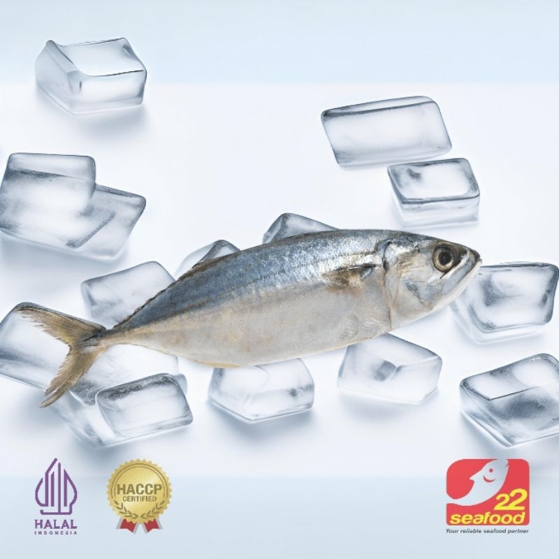 

Ikan Kembung Banjar 1 kg 6-10 ekor / Indian Mackerel / Seafood 22