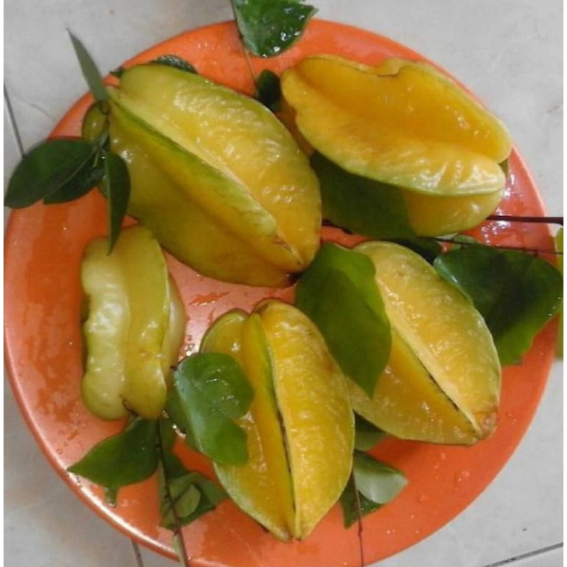 

buah belimbing