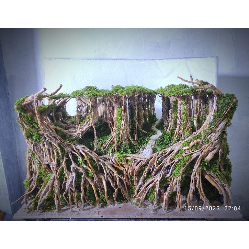 Hardscape jungle aquascape sudah siap pakai