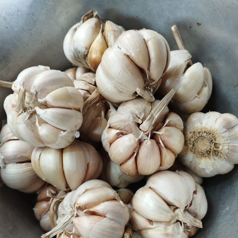 

bawang putih bersih 500gram