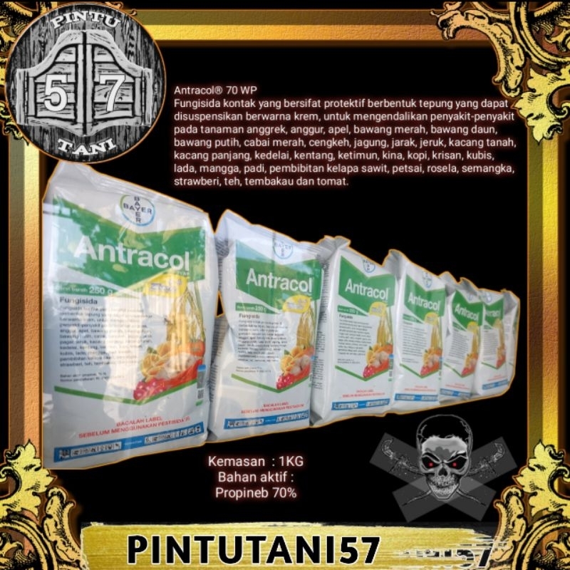 ANTRACOL 70WP 1KG