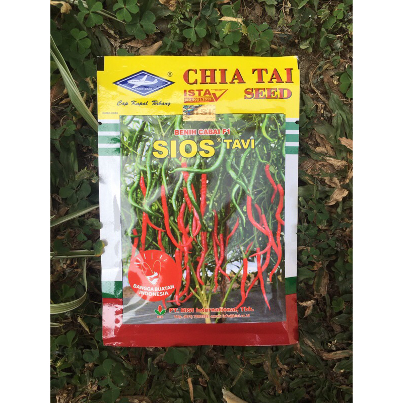 Benih Bibit Cabai Keriting SIOS Tavi F1 10 gram ASLI 100%