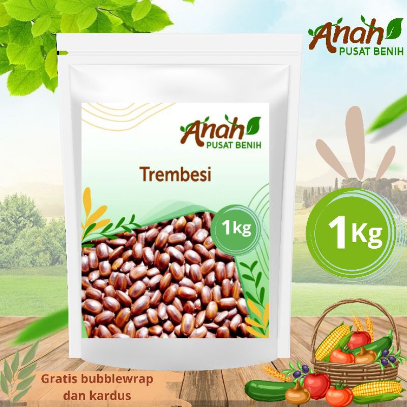Benih trembesi 1 kg / bibit trembesi