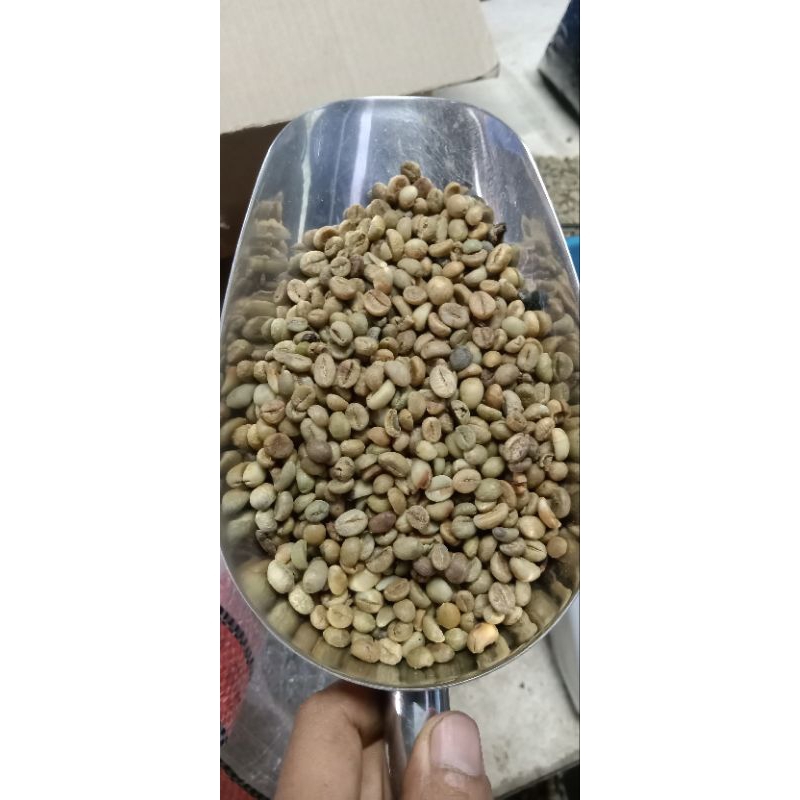 

KOPI ROBUSTA Gread 3 NATURAL GREEN BEAN CIBUNAR LINGGAJATI KUNINGAN JAWA BARAT 1KG