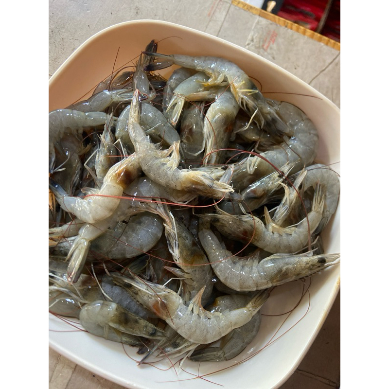 

Udang Segar Ukuran Kecil 500Gram - Bawangbagus