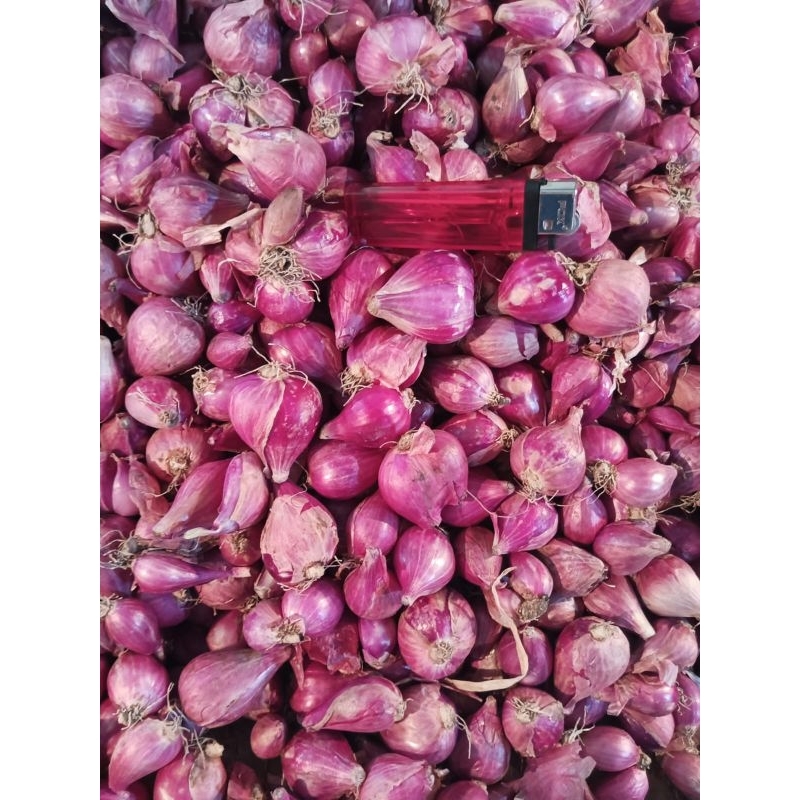 

bawang merah 1kg murah