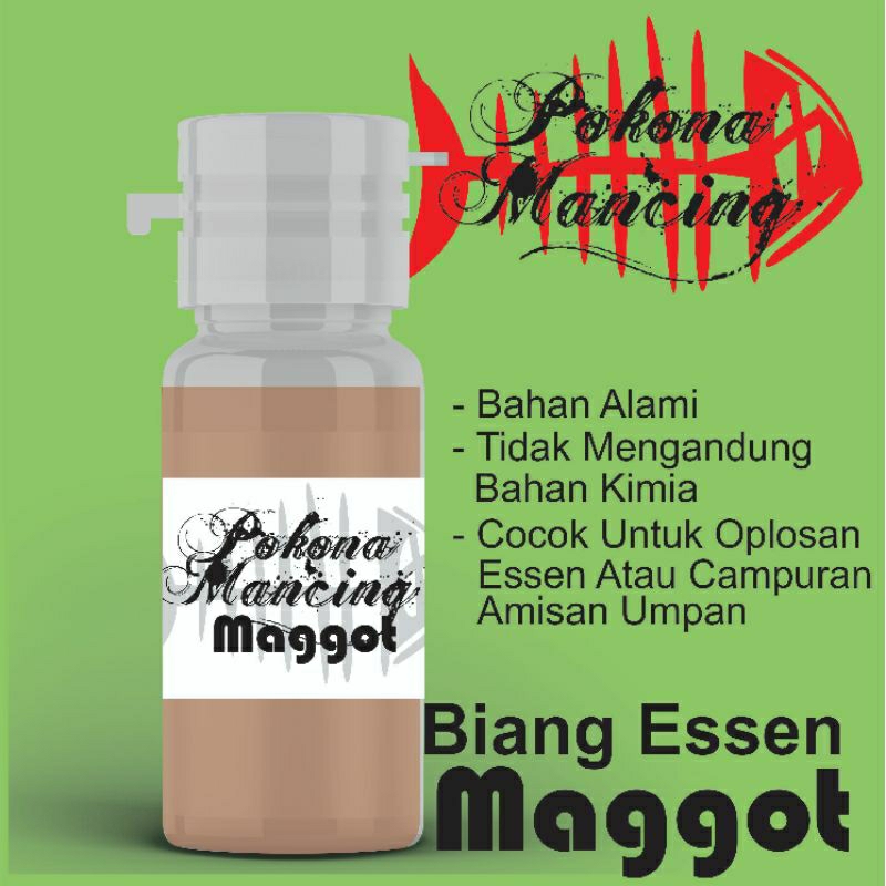 essen minyak maggot