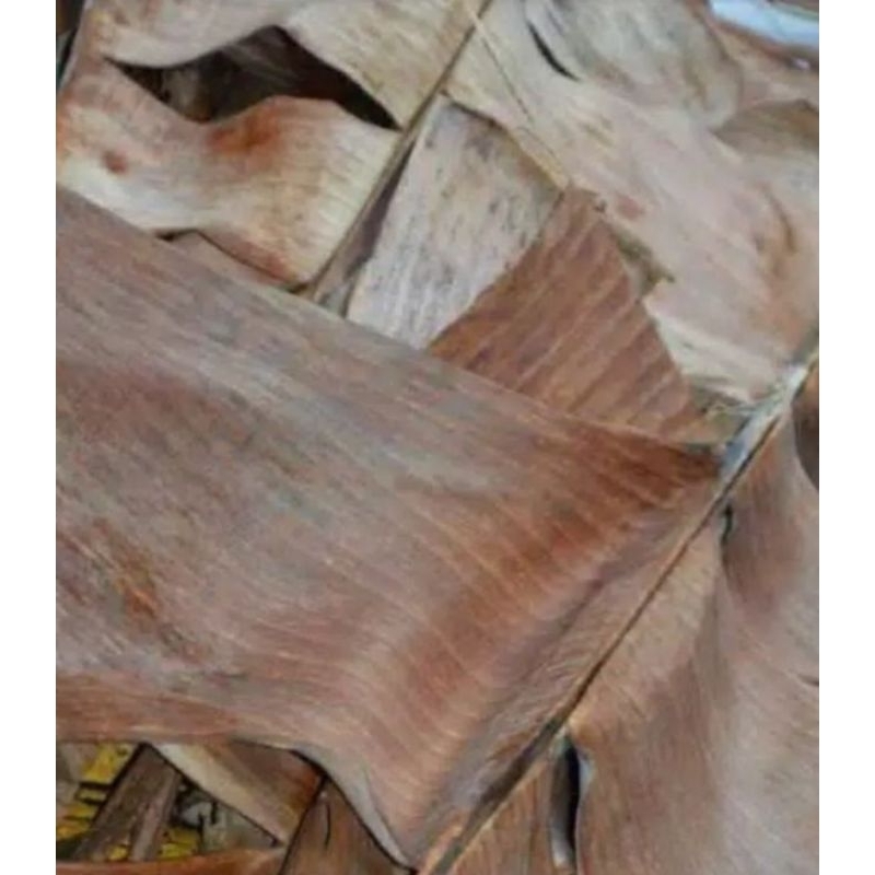 

daun pisang perbongol