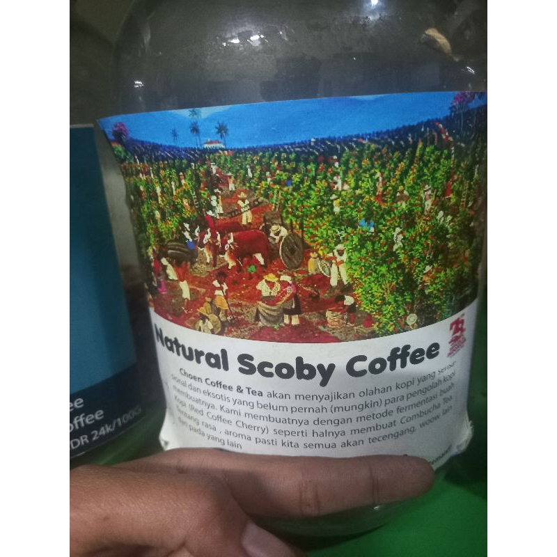 

Natural Scoby Coffee - Arabica Coffee