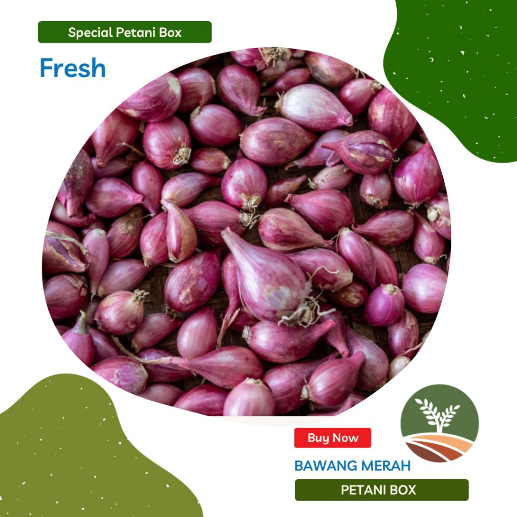 Bawang Merah Brebes 1 kg  Petani Box