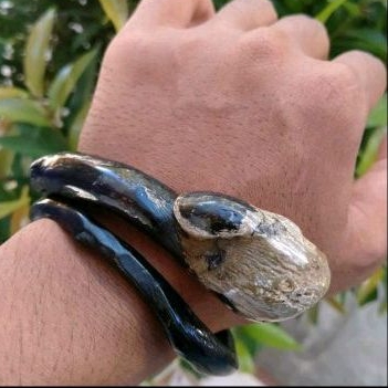 Gelang Akar Bahar Hitan Bonggol Size Sedang