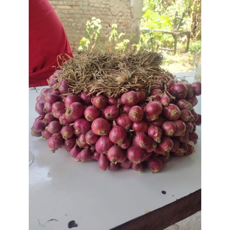 

Bawang merah asli Brebes kering