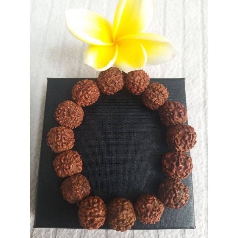 Gelang Rudraksha atau Genitri Asli Bali